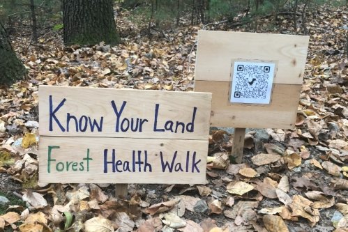 Featured image for “Know Your Land:  Forest Health in Springtime”